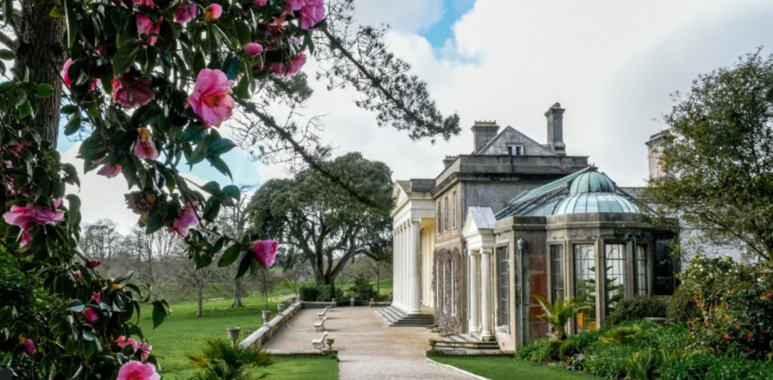 National Trust - Trelissick Garden , United Kingdom